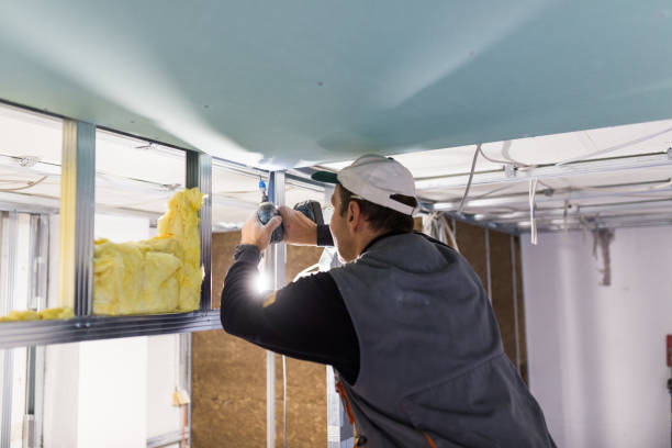Best Affordable Insulation Services  in Princeton, IL