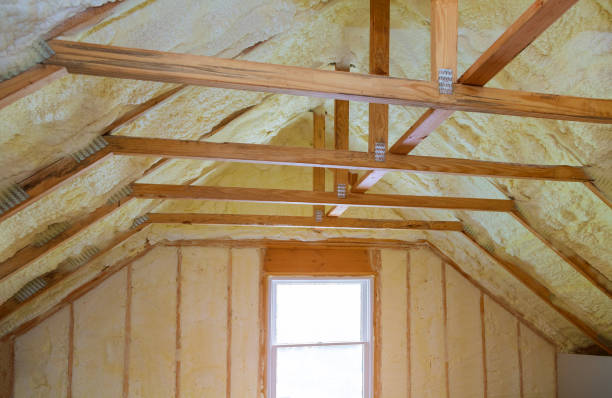 Best Local Insulation Services  in Princeton, IL