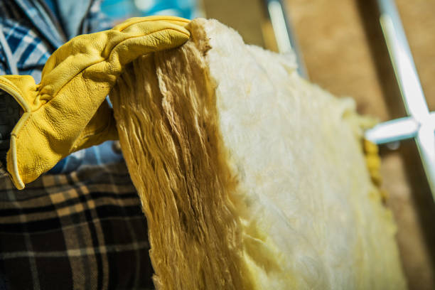Best Insulation Replacement Services  in Princeton, IL