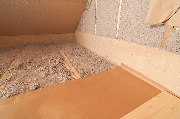 Best Spray Foam Insulation  in Princeton, IL